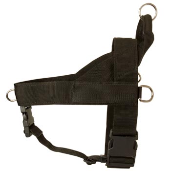 American Bulldog Harness Nylon for Comfy Walking