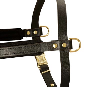 Training Pulling American Bulldog Harness with Sewn-In Side D-Rings