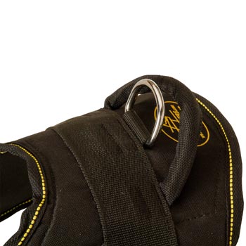 Heavy Duty Handle of American Bulldog Harness