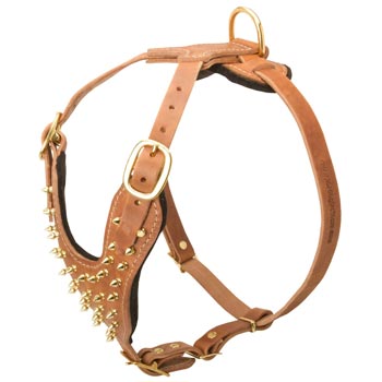 Walking Leather Harness for American Bulldog