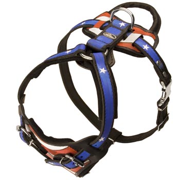 Leather SAmerican Bulldog Harness with Handle Stitched to Back Plate