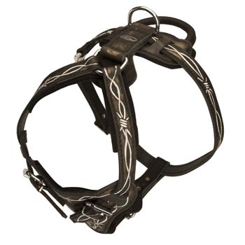 Agitation Training Leather American Bulldog Harness
