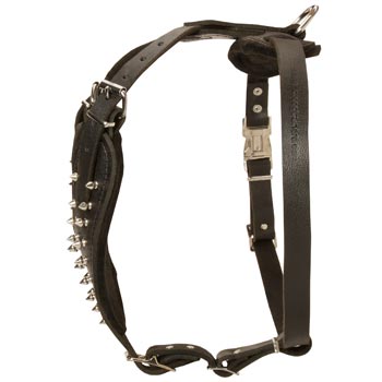 Adjustable Leather Harness for American Bulldog