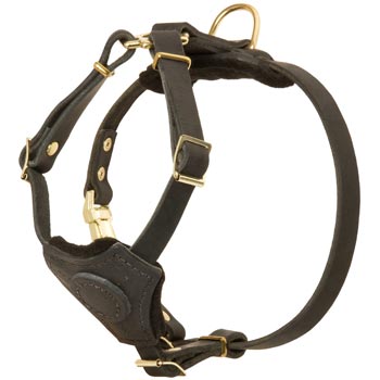 Light Weight Leather Puppy Harness for American Bulldog