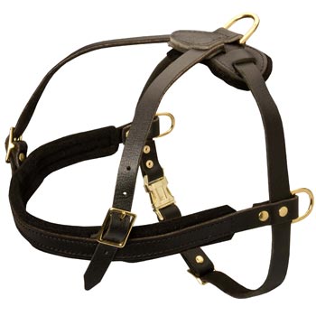 Leather American Bulldog Harness for Dog Off Leash Training