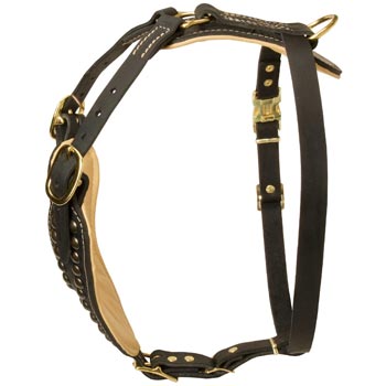 Custom Made Dog Harness for American Bulldog