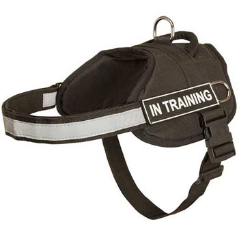 Nylon American Bulldog Harness Multifunctional All-Weather Practical