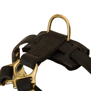 D-ring on Leather American Bulldog Harness for Puppy Training