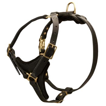 American Bulldog Harness Black Leather with Padded Chest Plate for Training