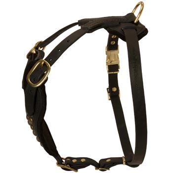 Easy Adjustable Leather American Bulldog Harness