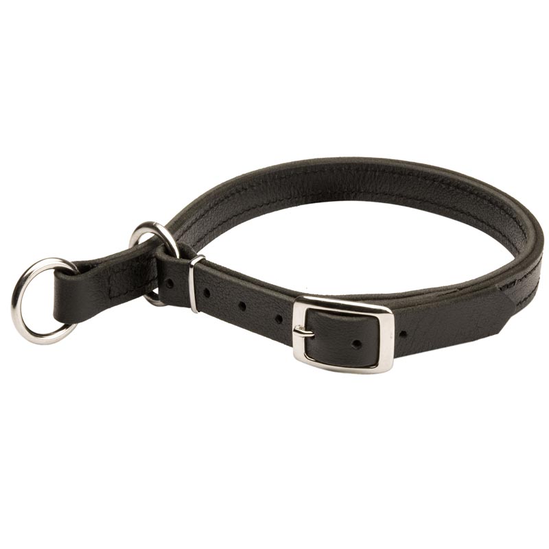 American Bulldog Leather Choke Collar