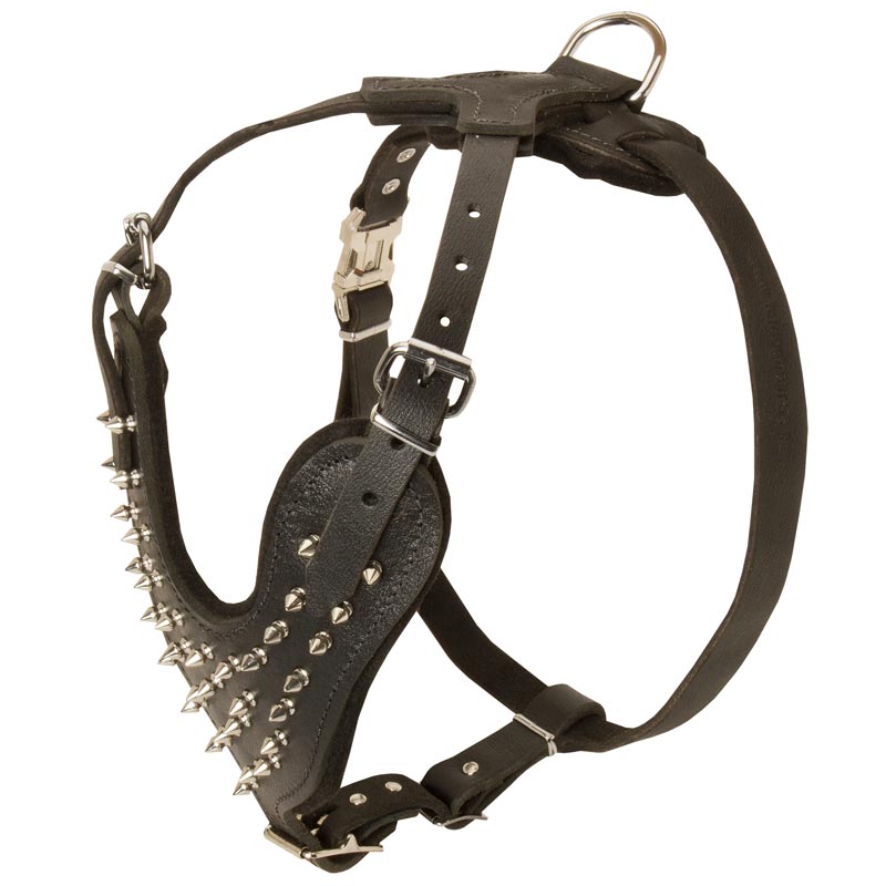 Spiked Leather American Bulldog Harness for Fashionable Walking