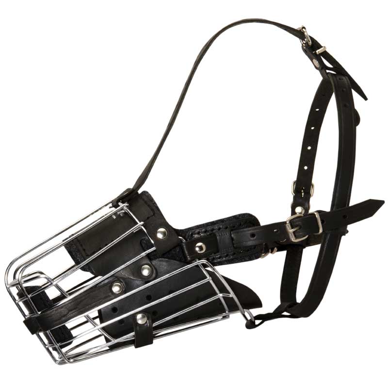 'No Mash' Basket Wire American Bulldog Muzzle Padded All Over