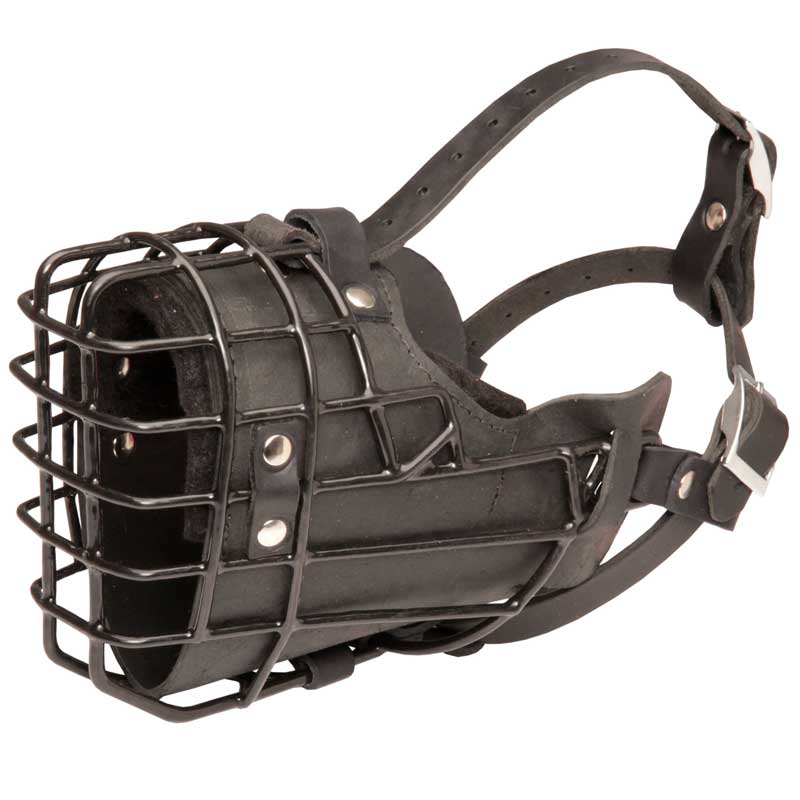 Unique Design Wire American Bulldog Muzzle for Winter Activities