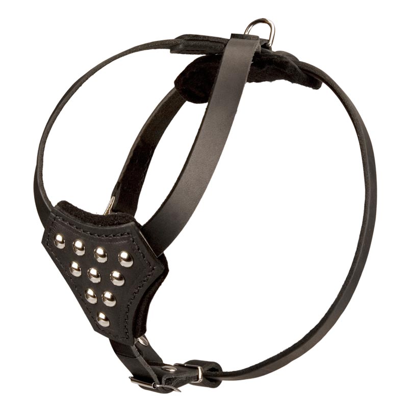 Designer Leather American Bulldog Harness with Adjustable Straps for Puppy Walking and Training