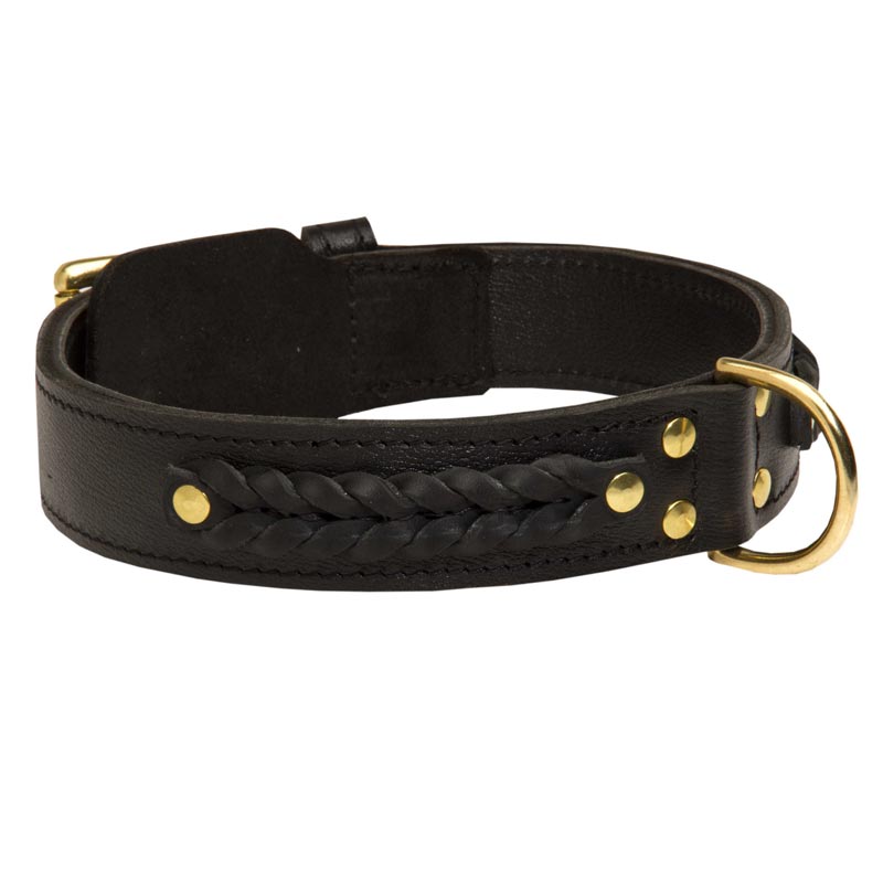 Incredible Design American Bulldog Braided Leather Collar