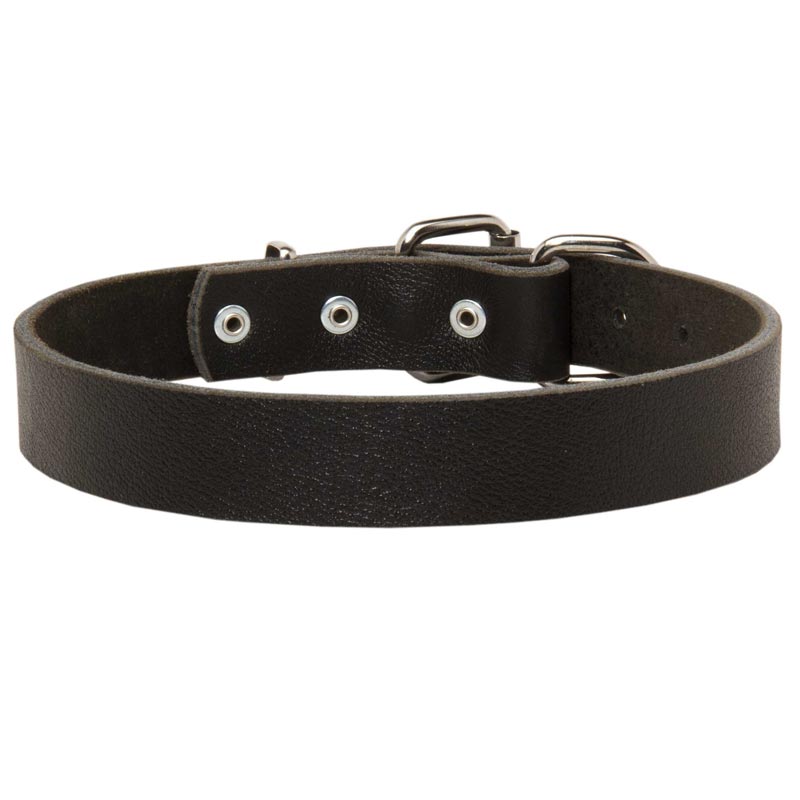 American Bulldog Leather Dog Collar For Pleasant Wearing