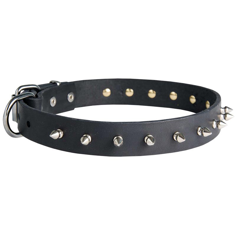 American Bulldog Leather Collar Spiked 30 mm