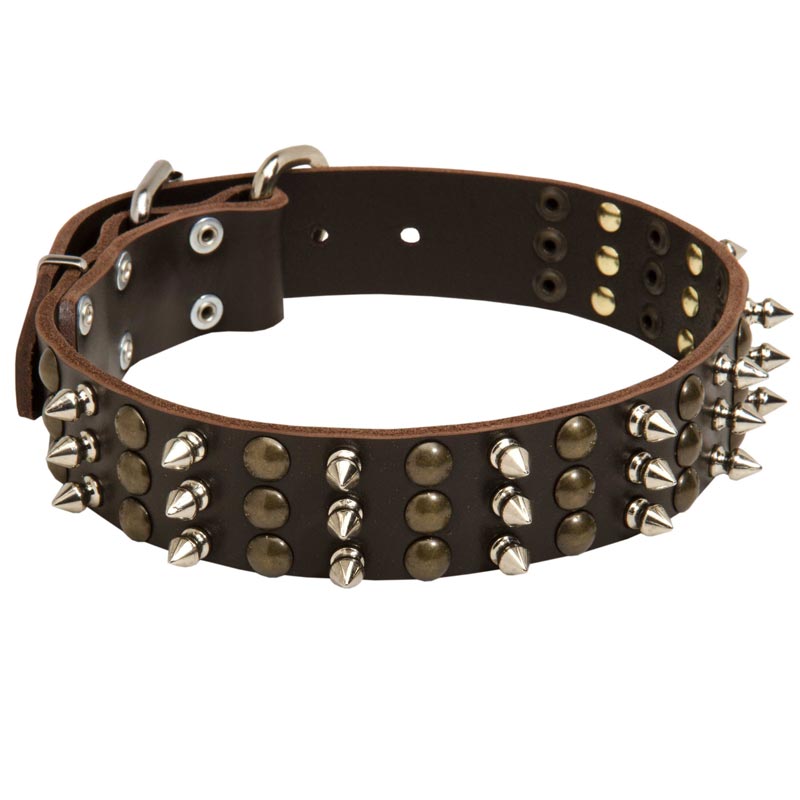 American Bulldog Spikes and Studs Rows Leather Dog Collar