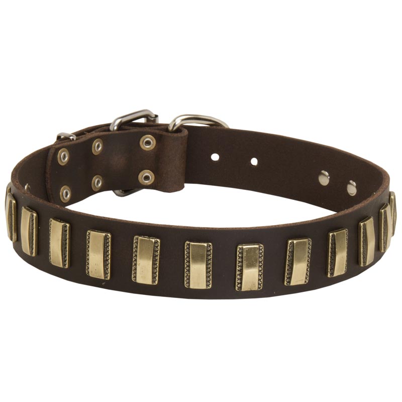 Leather American Bulldog Collar with Awesome Brass Plates - Click Image to Close