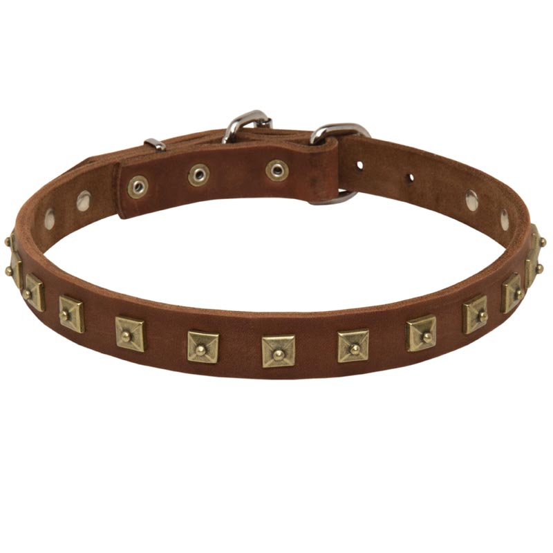 Handcrafted 1 Row Square Studded Leather American Bulldog Collar