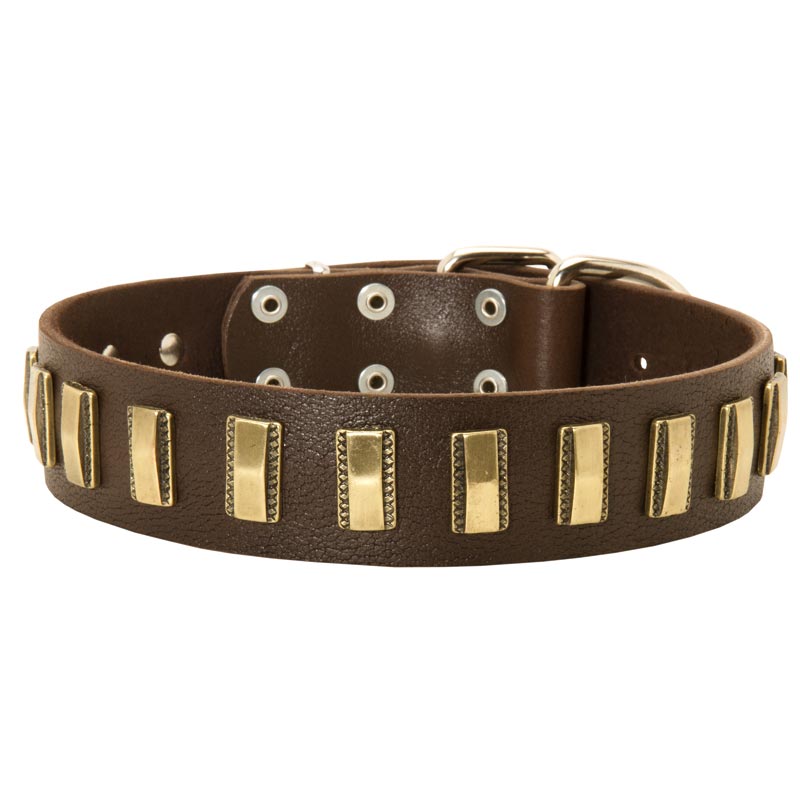 American Bulldog Leather Collar with Shiny Plates