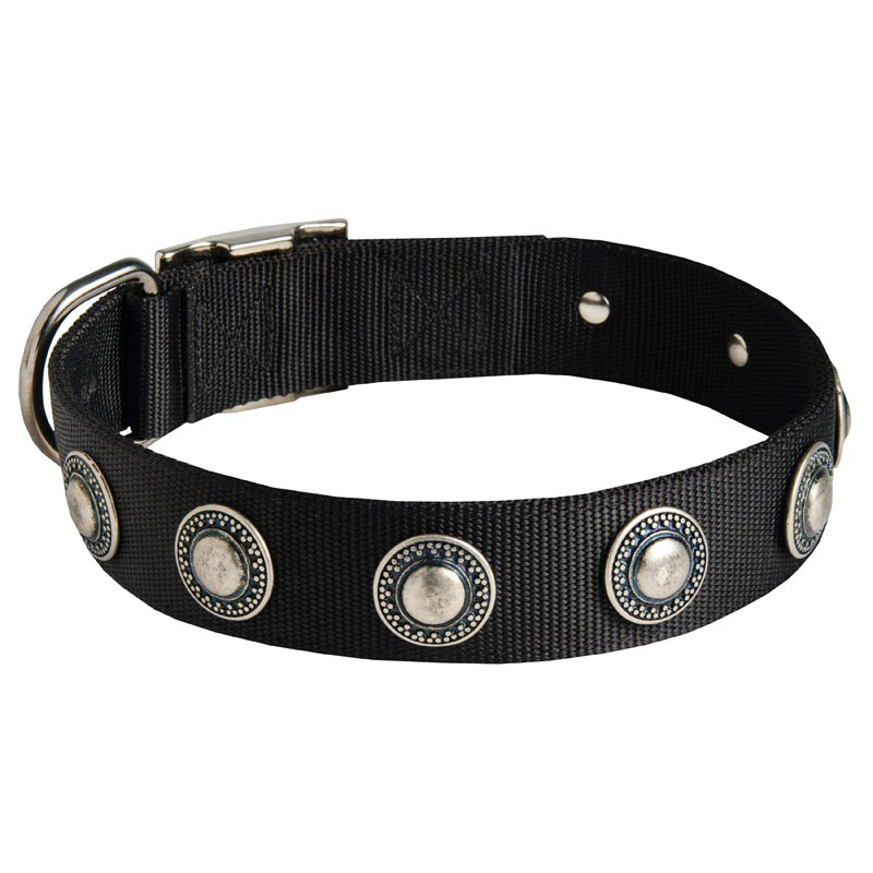 American Bulldog Nylon Dog Collar with Circles Decoration - Click Image to Close