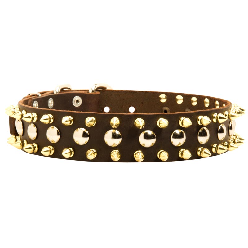 Spiked and Studded American Bulldog Leather Collar