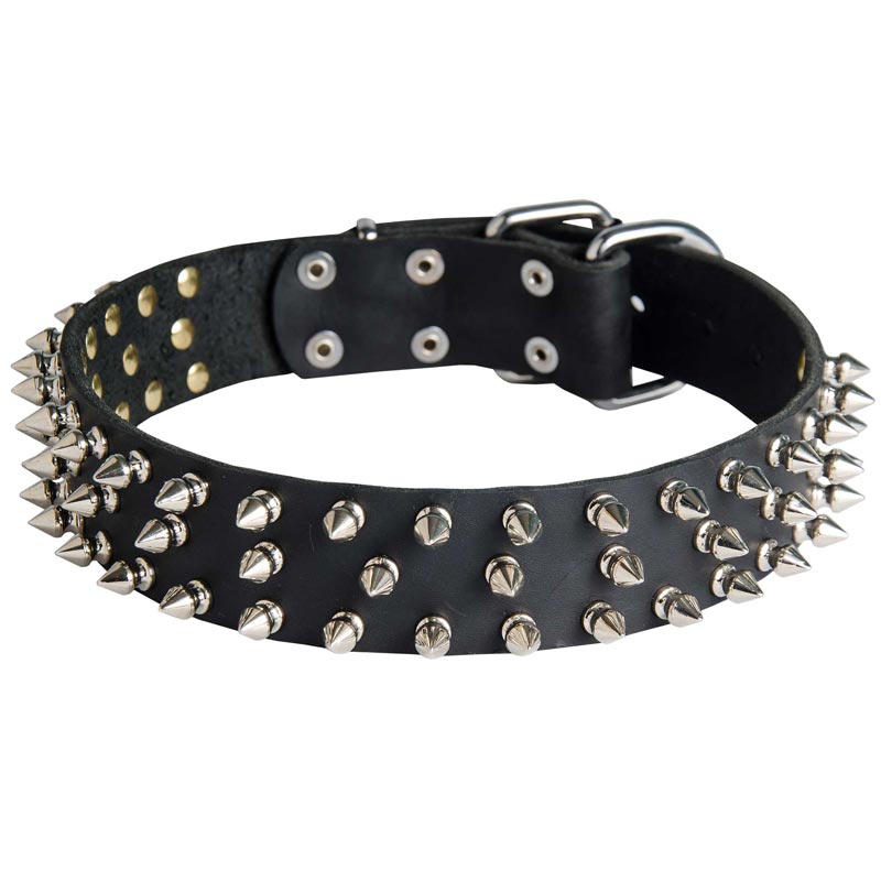 Leather American Bulldog Collar with 3 Rows of Nickel Spikes