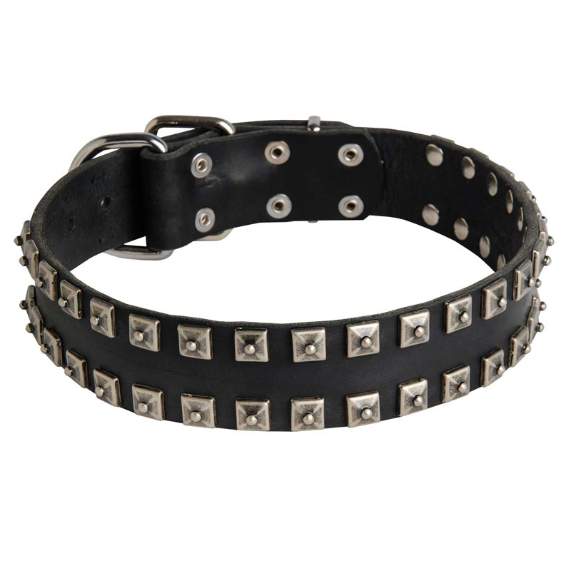 New Leather American Bulldog Collar - Fashion Exclusive Design - "Caterpillar"