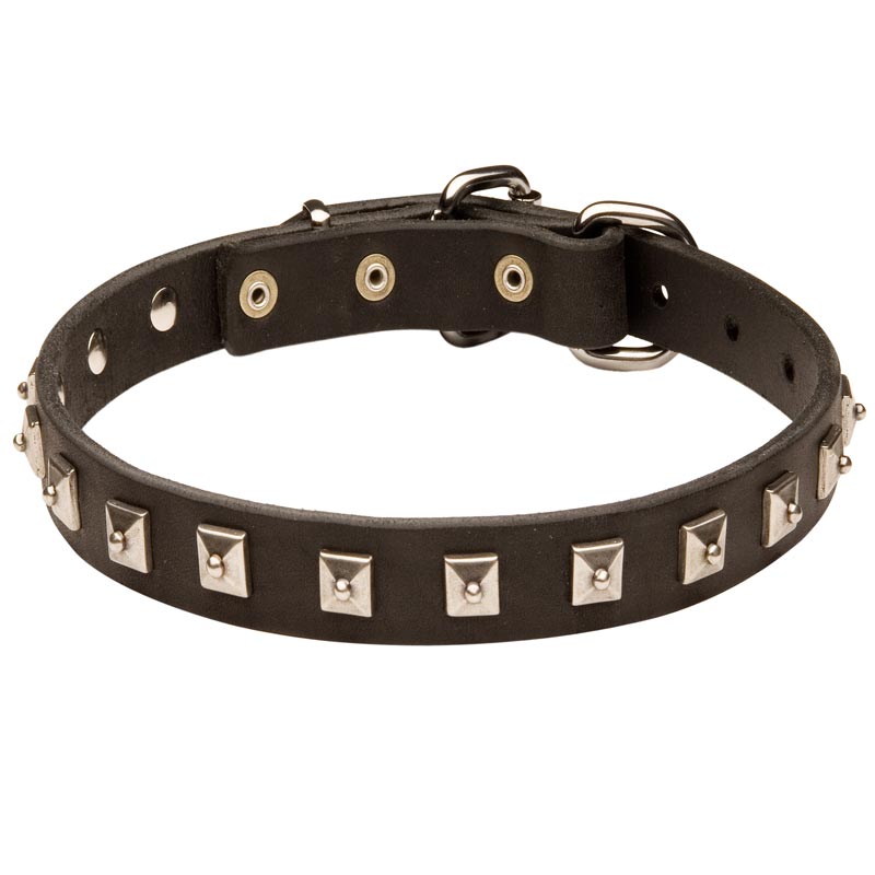 American Bulldog Leather Collar Caterpillar Design