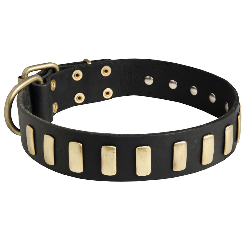 Fancy Leather American Bulldog Collar with Brass Plates