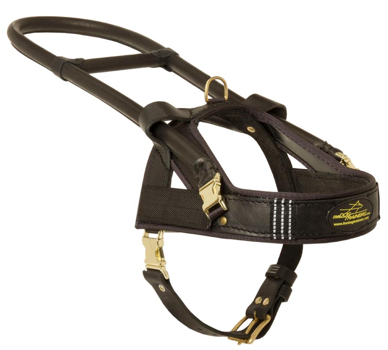 Guide and Assistance Leather American Bulldog Harness