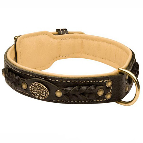 American Bulldog Leather Collar Braided - Click Image to Close