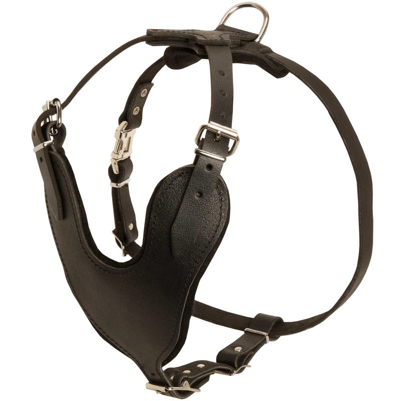 Adjustable Leather American Bulldog Harness for Attack / Agitation Training