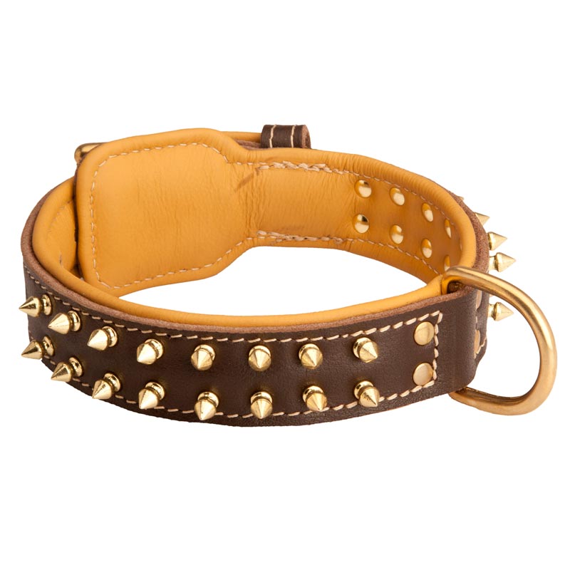 Spiked American Bulldog Collar Padded with Nappa Leather