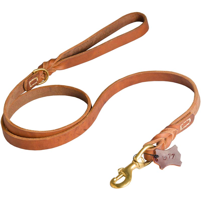 Walking and Training Leather American Bulldog Leash with Comfy Handle