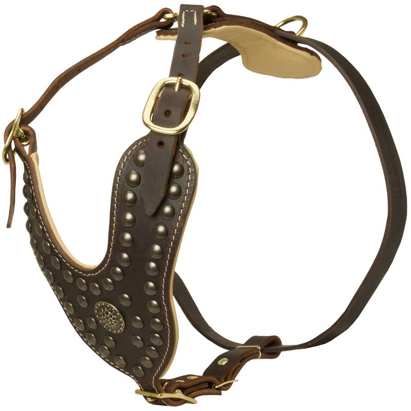 Royal Design Leather American Bulldog Harness with Brass Studs