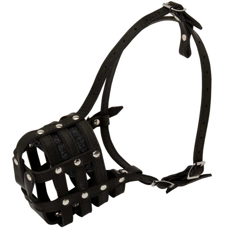 Walking and Training Leather Cage American Bulldog Muzzle