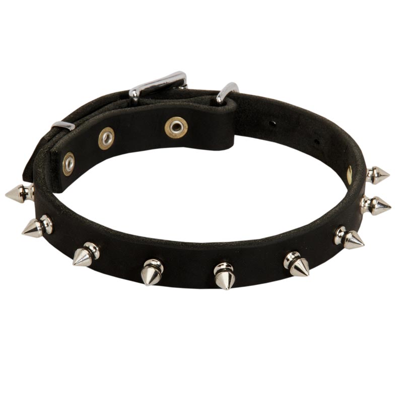 American Bulldog Leather Collar Spiked 3/4 Inch