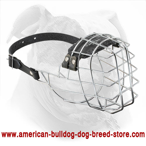 'The Silencer' Wire Cage American Bulldog Muzzle With One Strap