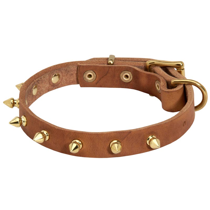 Walking Designer Leather American Bulldog Collar with Brass Spikes
