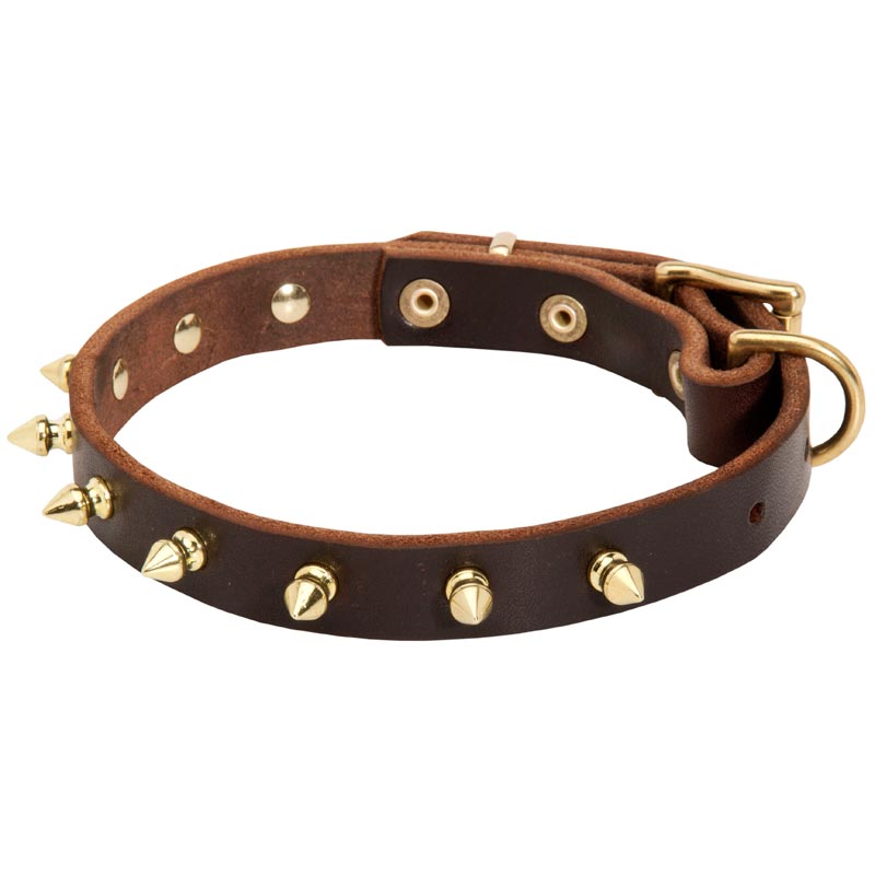 Walking Designer Leather American Bulldog Collar with Brass Spikes