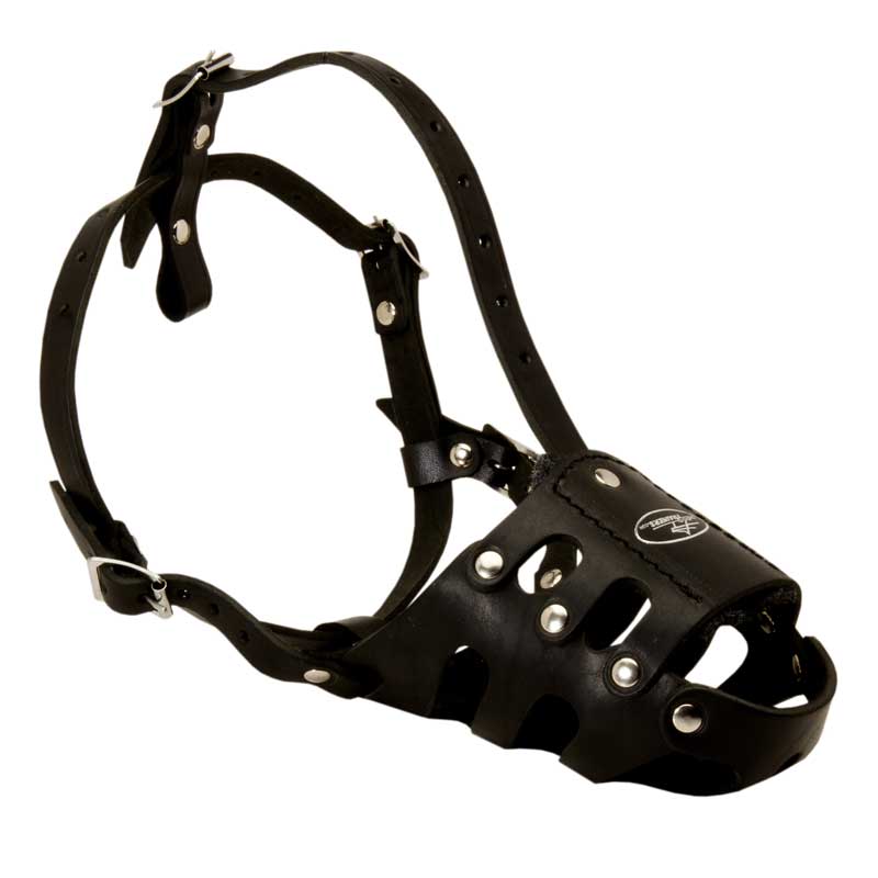 Anti Barking Leather American Bulldog Muzzle