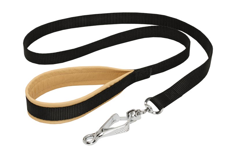 Nylon American Bulldog Leash with Support Material on the Handle for Walking and Training