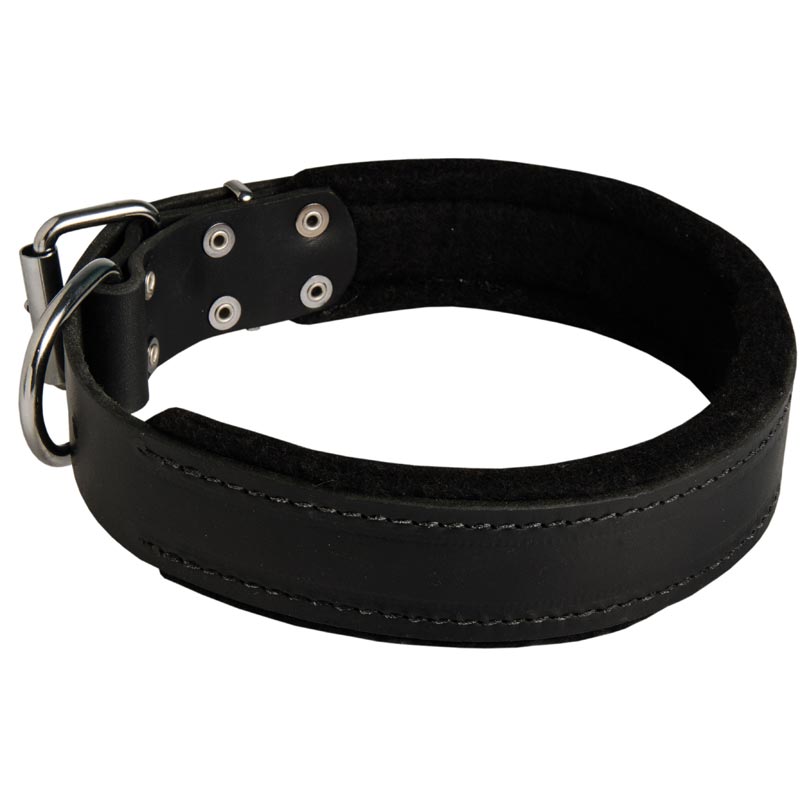 American Bulldog Durable Padded Leather Collar 40 mm