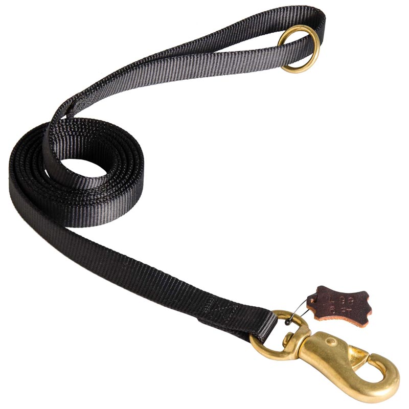 Any Weather Nylon American Bulldog Leash for Walking, Tracking, Training