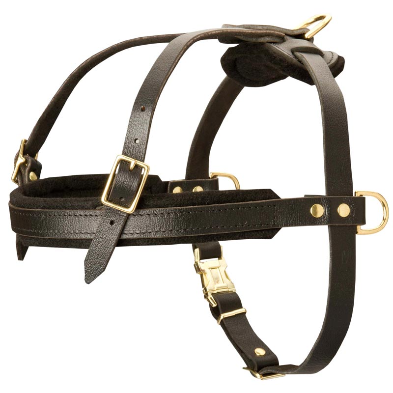 Leather American Bulldog Harness for Tracking and Pulling