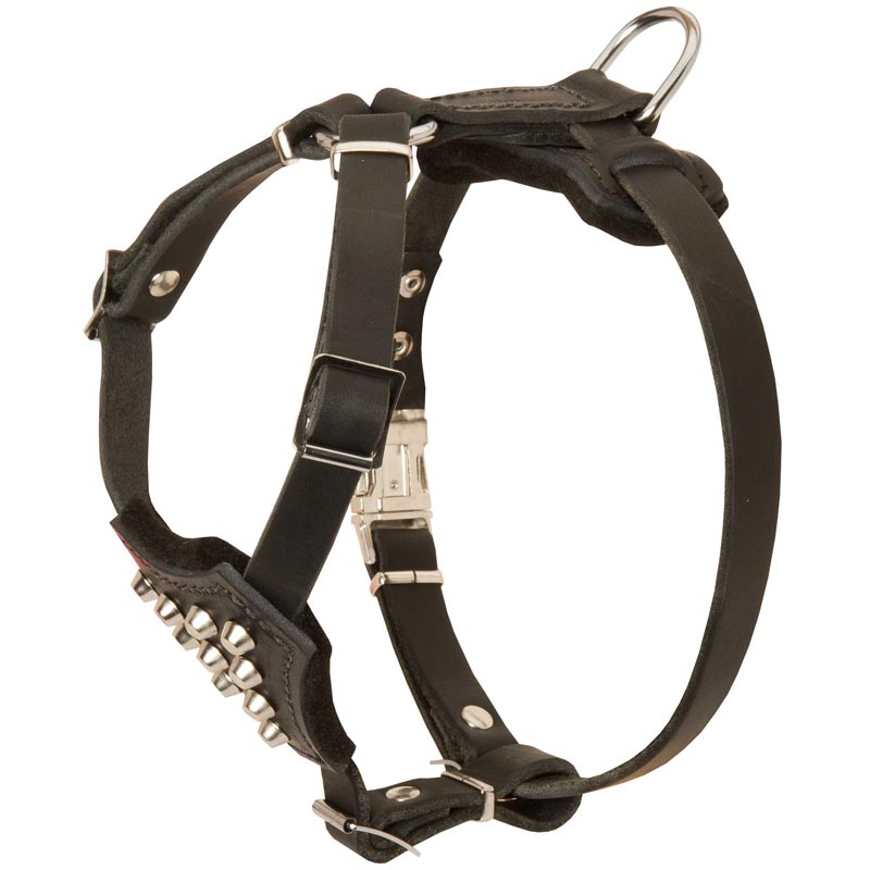 Studded Leather American Bulldog Puppy Harness