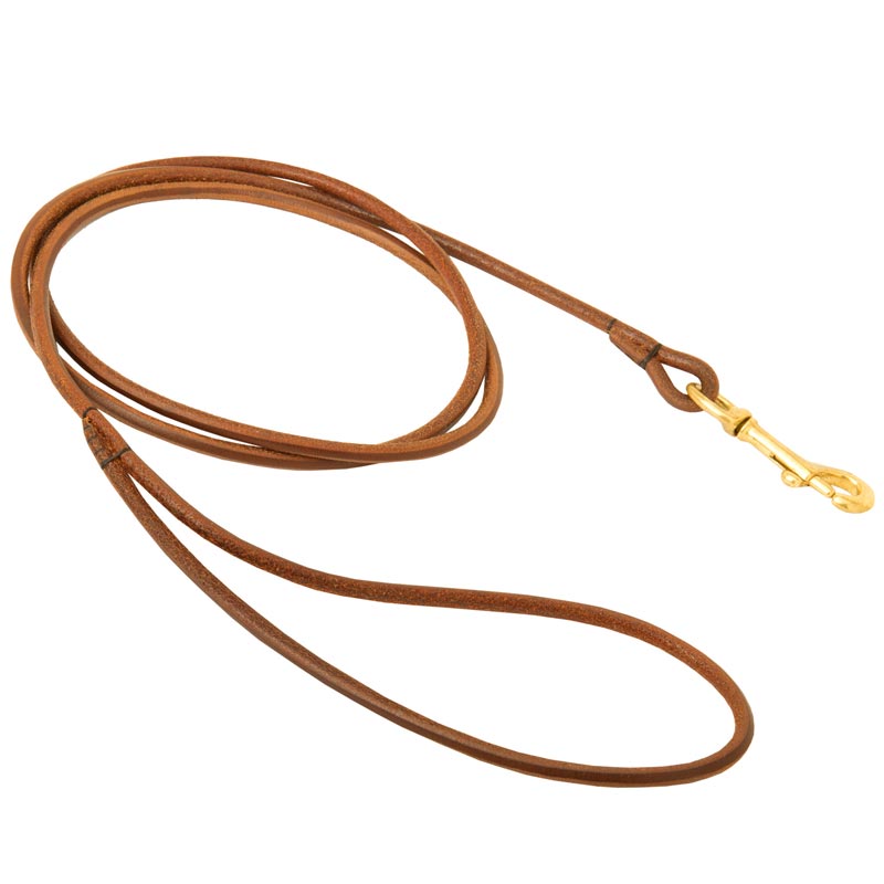Round Leather American Bulldog Leash for Dog Shows